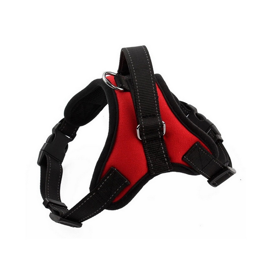 Comfortable Harness with Handle